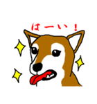 忠犬・論ちゃん（個別スタンプ：13）