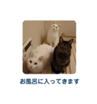 マロンファミリーのスタンプ（個別スタンプ：1）