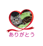 マロンファミリーのスタンプ（個別スタンプ：2）
