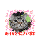 マロンファミリーのスタンプ（個別スタンプ：5）