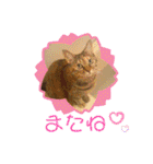 マロンファミリーのスタンプ（個別スタンプ：23）