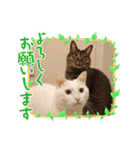 マロンファミリーのスタンプ（個別スタンプ：29）