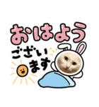 マロンファミリーのスタンプ（個別スタンプ：31）