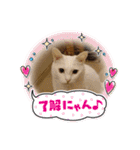 マロンファミリーのスタンプ（個別スタンプ：36）