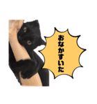 わぐおの日常2（個別スタンプ：3）