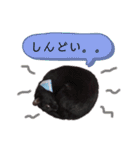 わぐおの日常2（個別スタンプ：7）