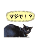 わぐおの日常2（個別スタンプ：8）