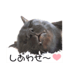 わぐおの日常2（個別スタンプ：11）
