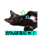 わぐおの日常2（個別スタンプ：12）