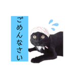 わぐおの日常2（個別スタンプ：13）