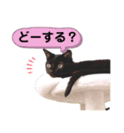 わぐおの日常2（個別スタンプ：16）