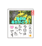 楽しかった日の後に送るメッセージです。（個別スタンプ：1）