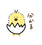 かわいいひよこと目玉焼きすたんぷ（個別スタンプ：13）