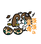 犬の卵の兵士-毎日（個別スタンプ：7）