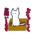 猫は、液体であり、わがままである（個別スタンプ：40）