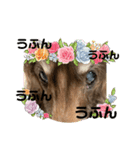 ちゅりんぼ語（個別スタンプ：4）