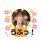 ちゅりんぼ語（個別スタンプ：7）