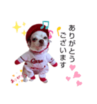 チョコちゃんです2（個別スタンプ：1）