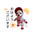 チョコちゃんです2（個別スタンプ：3）