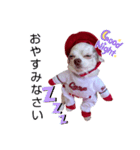 チョコちゃんです2（個別スタンプ：4）