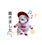 チョコちゃんです2（個別スタンプ：8）