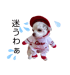 チョコちゃんです2（個別スタンプ：14）