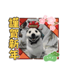 えるあくん（個別スタンプ：4）