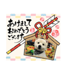 えるあくん（個別スタンプ：5）
