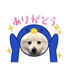えるあくん（個別スタンプ：8）