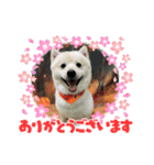 えるあくん（個別スタンプ：10）