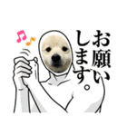 えるあくん（個別スタンプ：11）