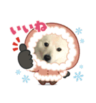 えるあくん（個別スタンプ：12）