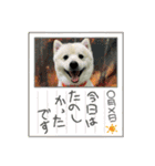 えるあくん（個別スタンプ：13）