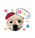 えるあくん（個別スタンプ：14）