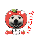 えるあくん（個別スタンプ：15）