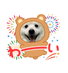 えるあくん（個別スタンプ：16）