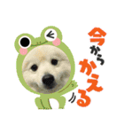えるあくん（個別スタンプ：17）