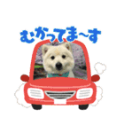 えるあくん（個別スタンプ：18）
