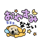 えるあくん（個別スタンプ：22）