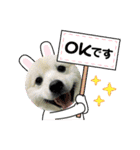 えるあくん（個別スタンプ：23）