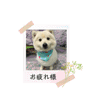 えるあくん（個別スタンプ：25）