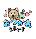 えるあくん（個別スタンプ：26）