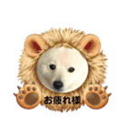 えるあくん（個別スタンプ：27）