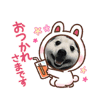 えるあくん（個別スタンプ：28）
