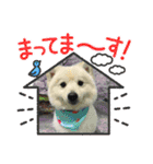 えるあくん（個別スタンプ：30）