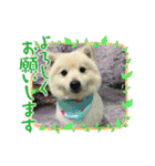 えるあくん（個別スタンプ：34）