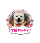 えるあくん（個別スタンプ：39）