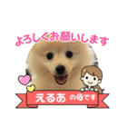 えるあくん（個別スタンプ：40）