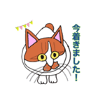 保護猫タマぶー（個別スタンプ：6）