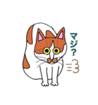 保護猫タマぶー（個別スタンプ：21）